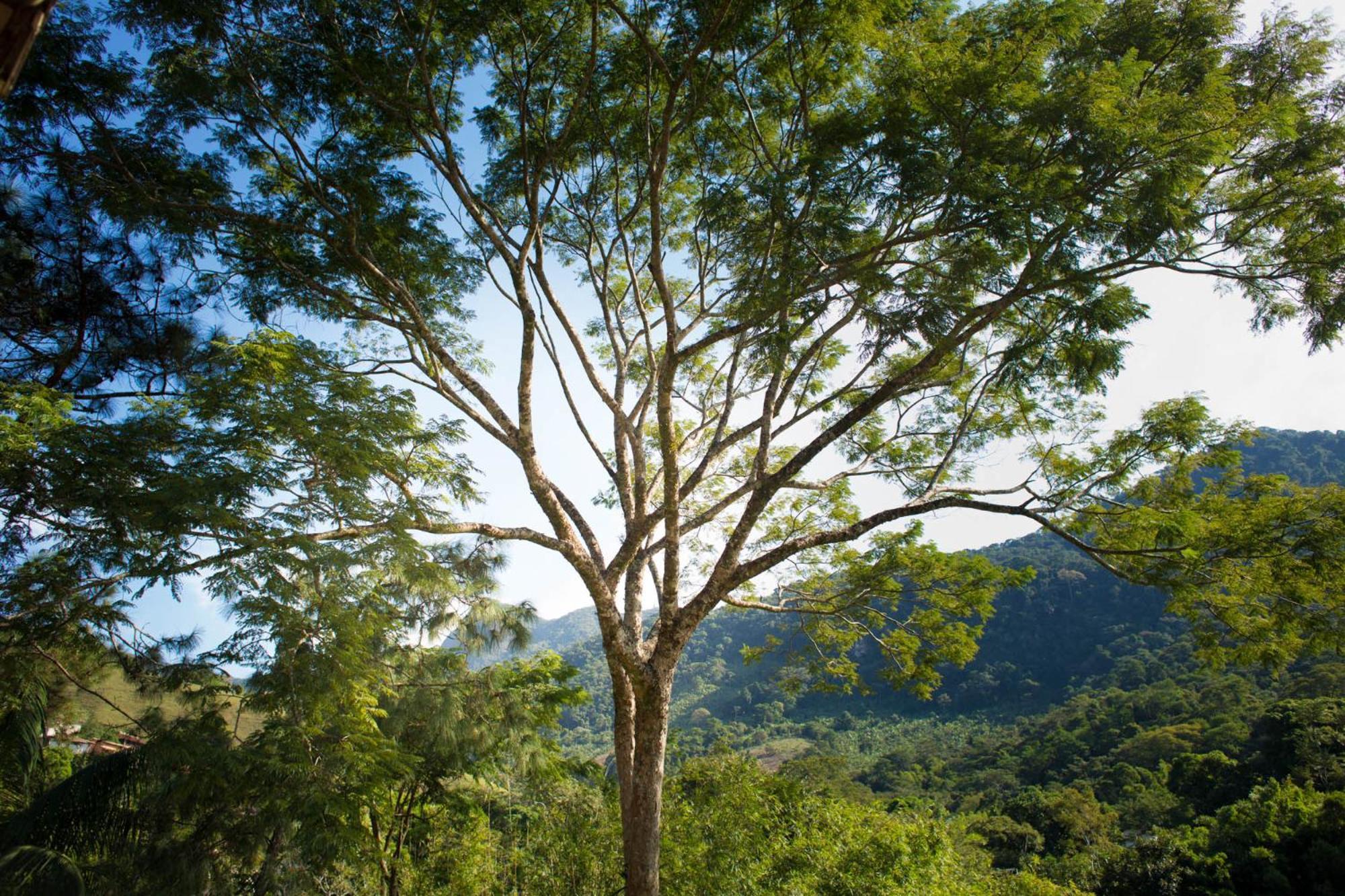 Pousada Cascata Casimiro de Abreu Rum bild